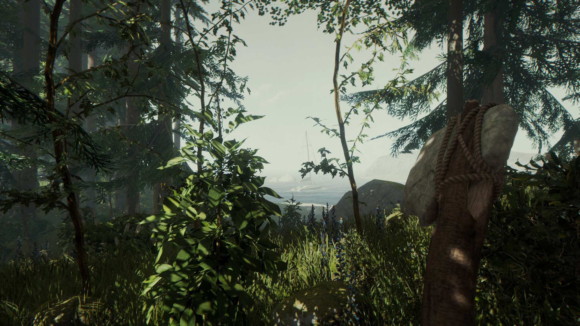 The Forest (Endnight Games Ltd)